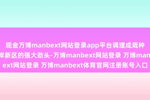 现金万博manbext网站登录app平台调理成栽种西海岸新区、奉献西海岸新区的强大劲头-万博manbext网站登录 万博manbext体育官网注册账号入口