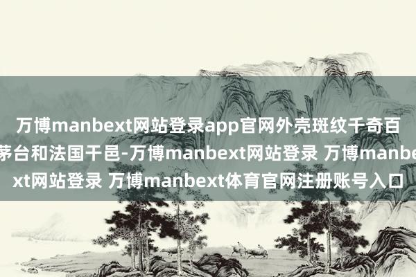 万博manbext网站登录app官网外壳斑纹千奇百怪；酒窖里囤着十老迈茅台和法国干邑-万博manbext网站登录 万博manbext体育官网注册账号入口